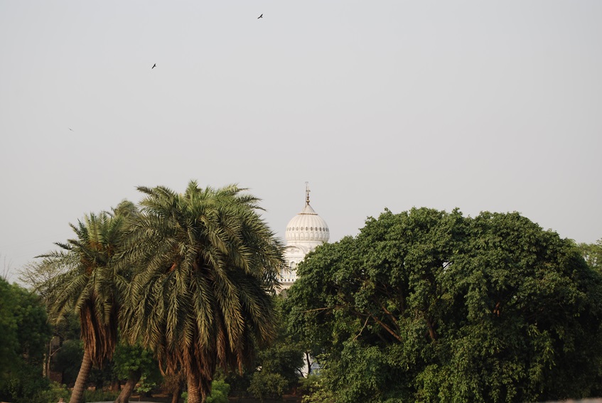 Delhi, North India (8).JPG