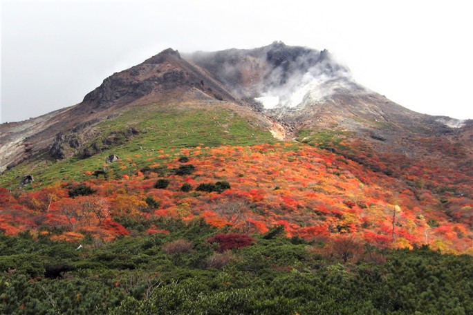 Nasu Japan (2).jpg