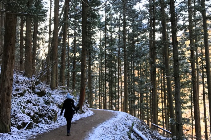 Yudanaka, Japan (7).JPG