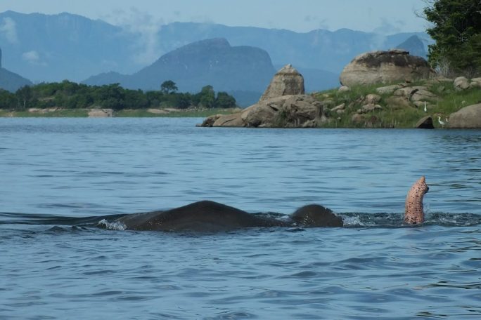 Gal Oya Lodge, Sri Lanka 2019 (7).jpg