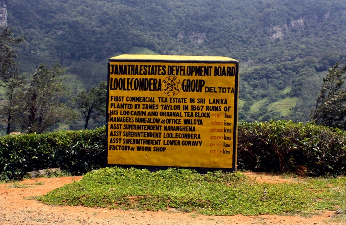 Deltota, Sri Lanka (Loolecondera).jpg