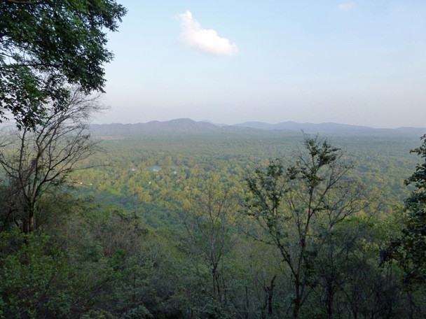 Pidurangala 2019 (3).jpg