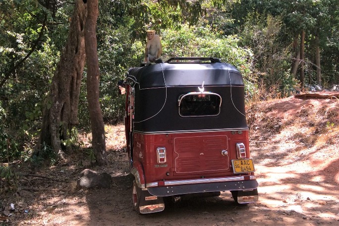 Ritigala, Sri Lanka (2).JPG