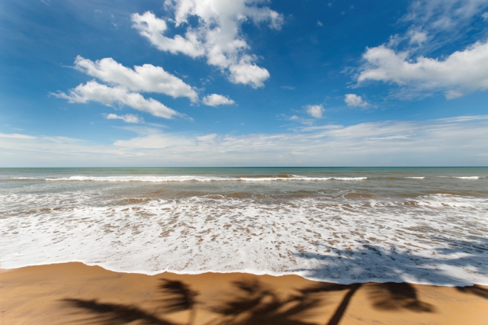 Wadduwa, Sri Lanka 2019 (1).jpg