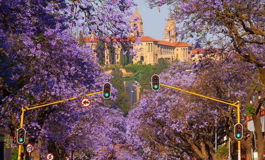 Pretoria, South Africa (2).jpg