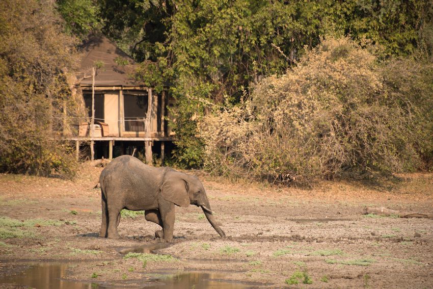 Kanga Camp, Mana Pools, Zimbabwe (4).jpg