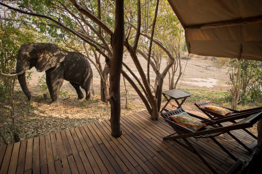 Kanga Camp, Mana Pools, Zimbabwe (5).jpg