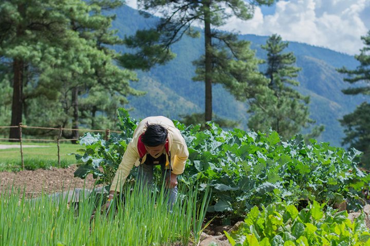 Zhiwa Ling Ascent, Thimphu, Bhutan (10).jpg