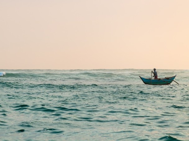 Mirissa, Sri Lanka 2019 (2).jpg