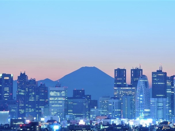 Japan - Tokyo cityscape.jpg