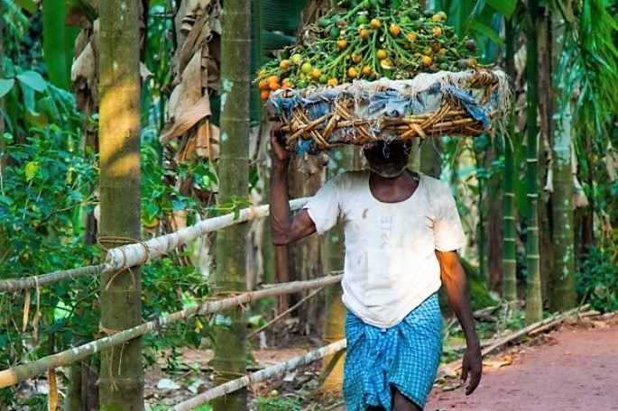 Goa, South India (6).jpg