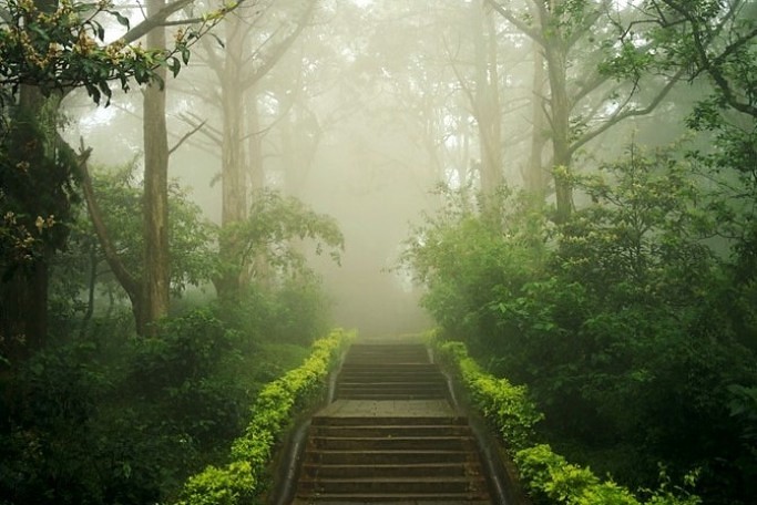 Bangalore, South India (4).jpg