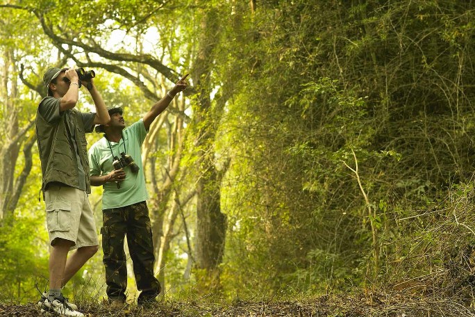 Coorg, South India (3).jpg