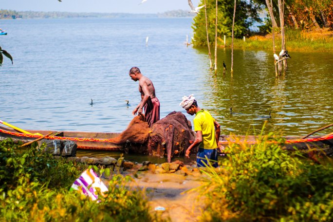 Kerala, South India.jpg