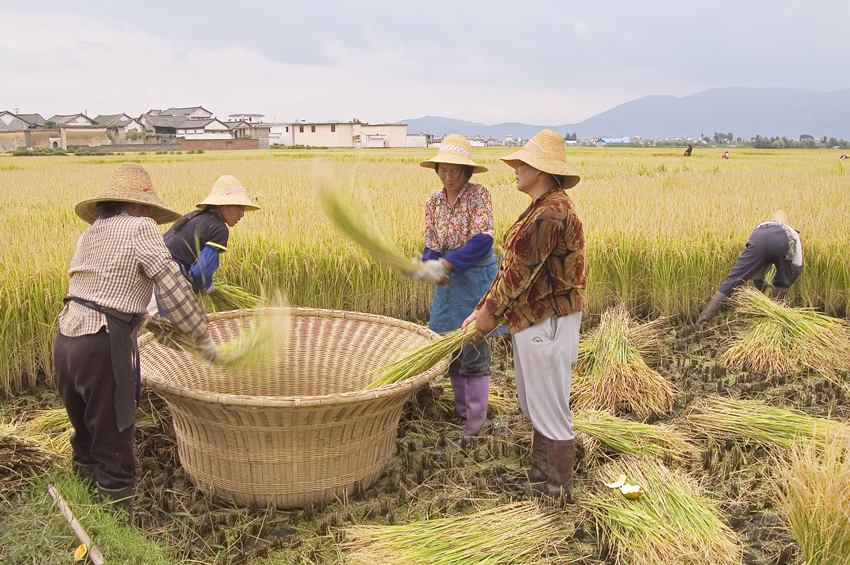Dali, Yunnan, China (6).jpg