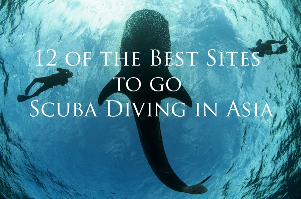 12 of the Best Scuba Diving Sites in Asia Ampersand Travel