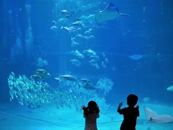 Osaka, Japan (5).jpg