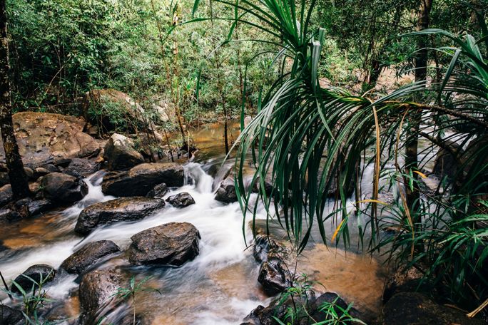 Cardamom Mountains - Shinta Mani Wild (4).jpg