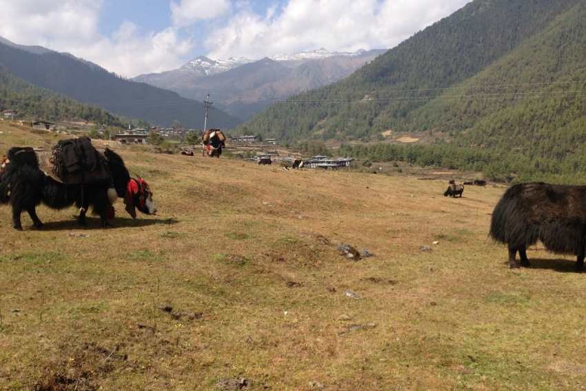 Soednam Zingkha Heritage Lodge, Haa Valley, Bhutan (2).jpg