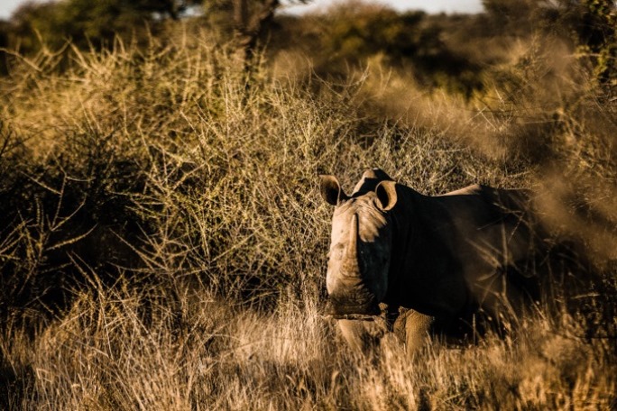 Omaanda, Windhoek, Namibia (7).jpg
