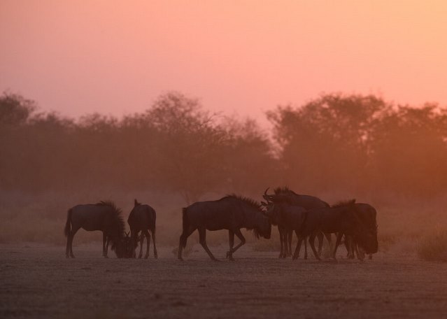 Etosha Mountain Lodges, Namibia (2).jpg (1)