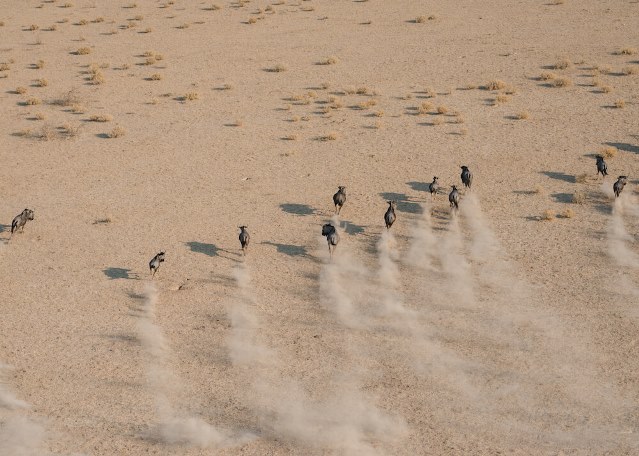 Etosha Mountain Lodges, Namibia (9).jpg (1)