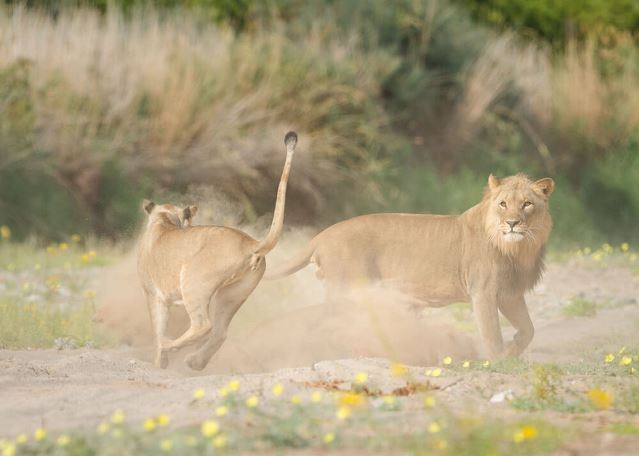 Hoanib Valley Camp, Namibia (13).jpg
