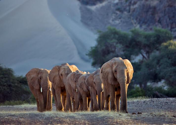 Hoanib Valley Camp, Namibia (19).jpg