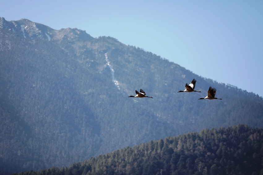 Gangtey, Bhutan (9).jpg