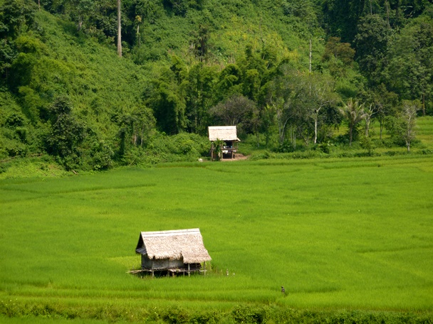 Muang La, Laos.JPG