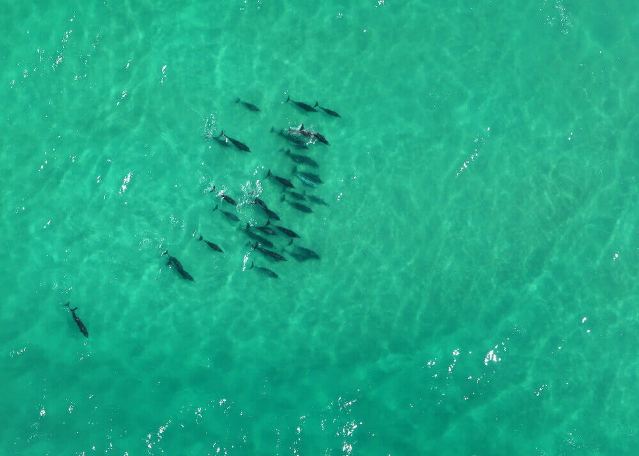 Lekkerwater Beach Lodge (5).jpg