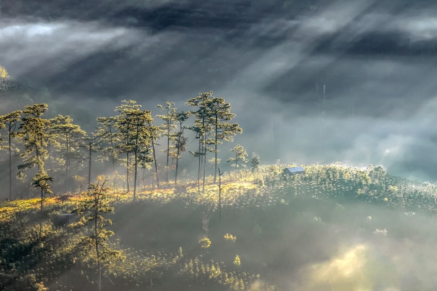 Dalat, Vietnam 2.jpg