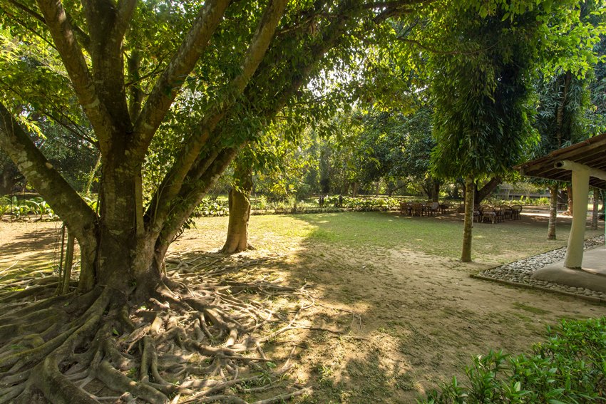 Tiger Tops Tharu Lodge, Chitwan National Park, Nepal (10).jpg