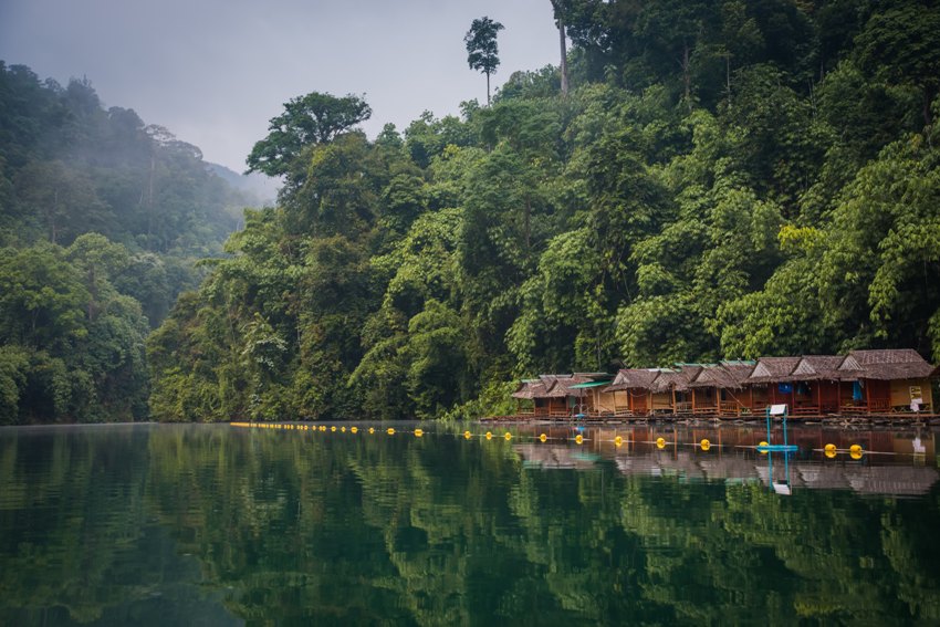 Khao Sok National Park, Thailand (3).jpg