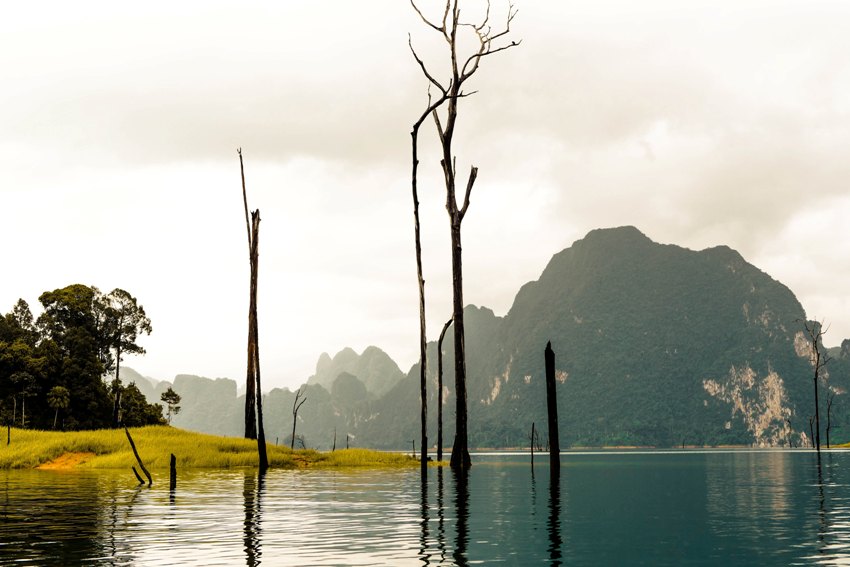 Khao Sok National Park, Thailand (6).jpg