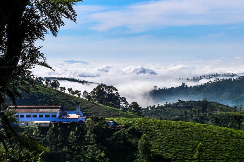 Coonoor, South India (1).jpg