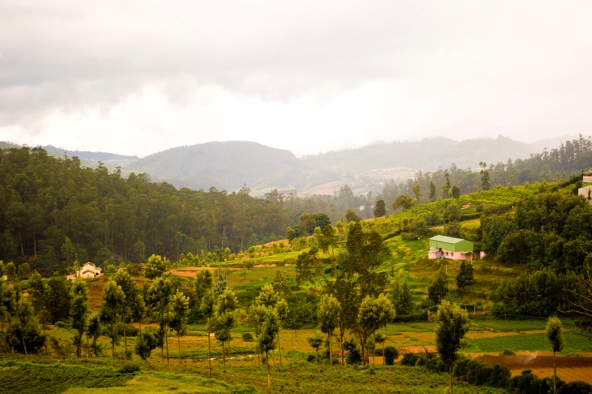 Coonoor, South India (2).jpg (2)