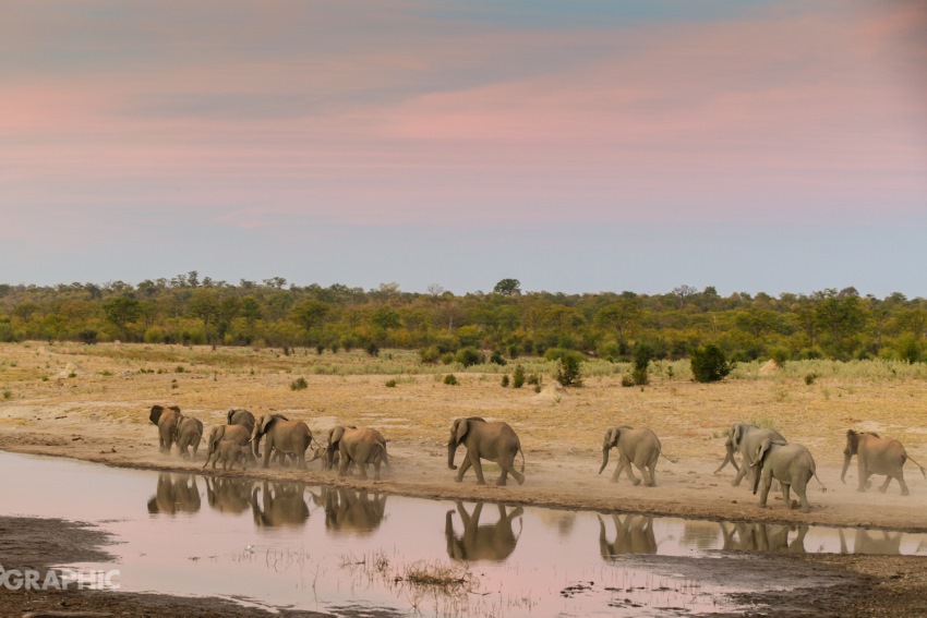 Deteema Springs, Hwange National Park, Zimbabwe (10).jpg