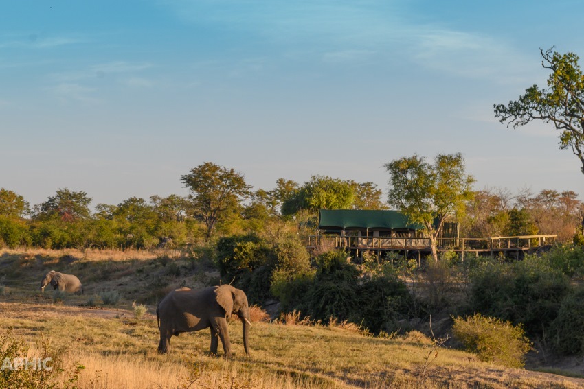 Deteema Springs, Hwange National Park, Zimbabwe (2).jpg