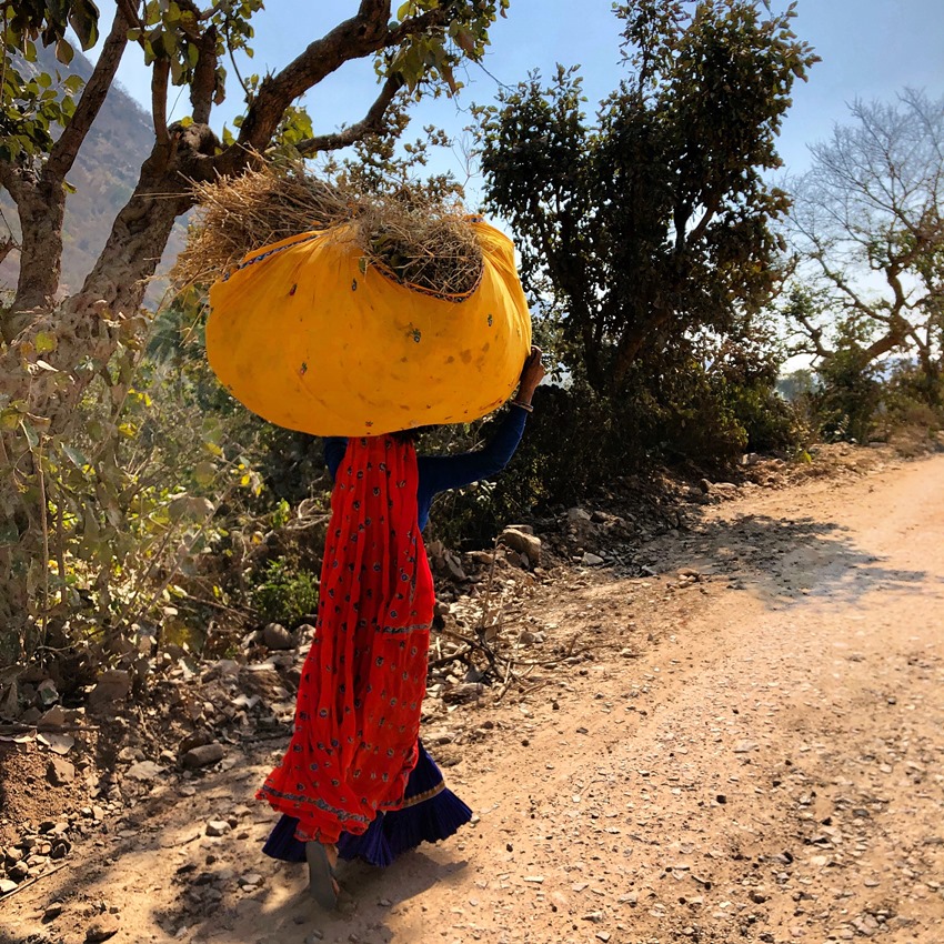 NORTH INDIA - Rajasthan, North India (2).JPG