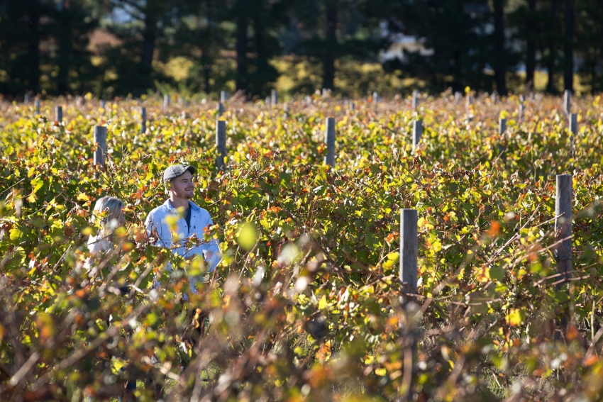 La Residence, Franschhoek, Winelands, South Africa (1).jpg