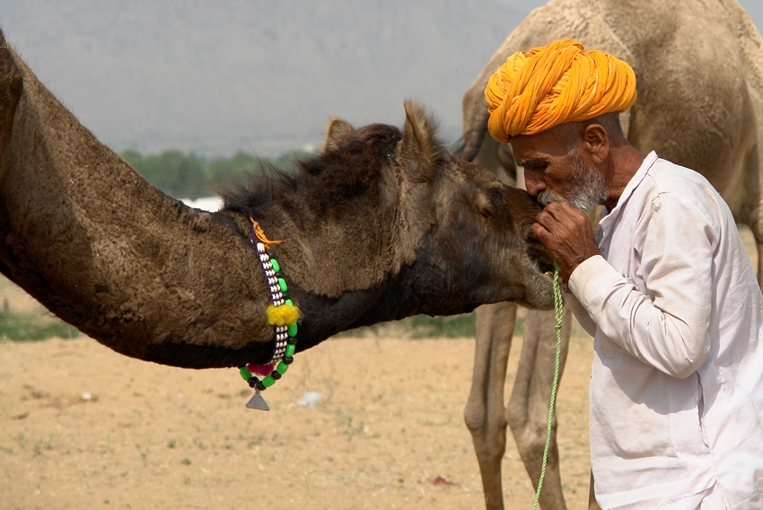 Pushkar, Rajasthan, North India (1).jpg
