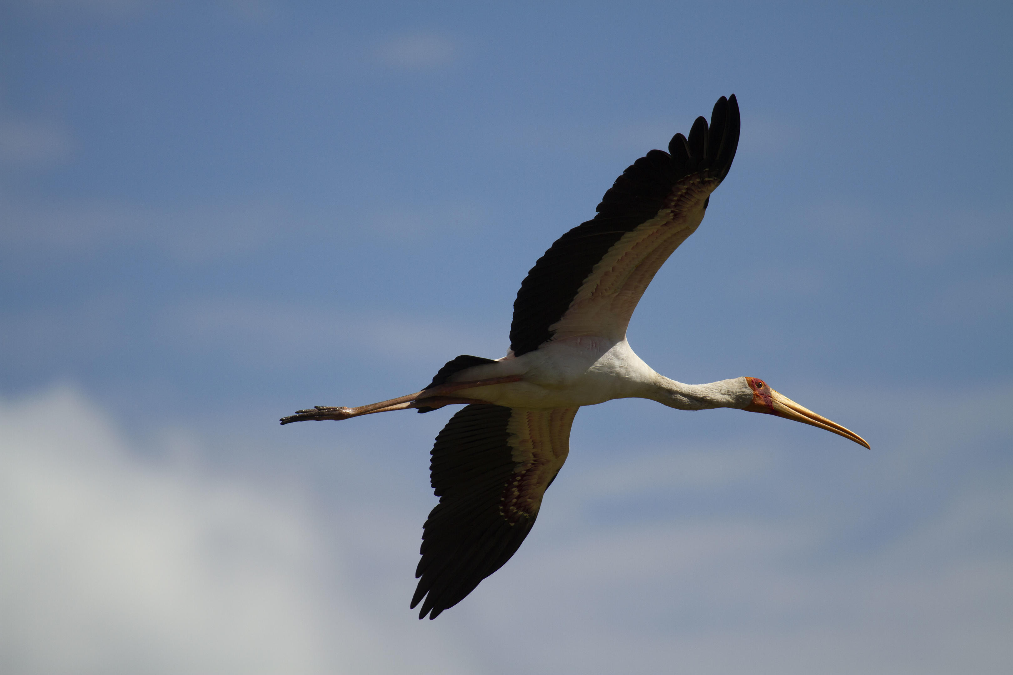 Nyamatusi Camp_37.jpg