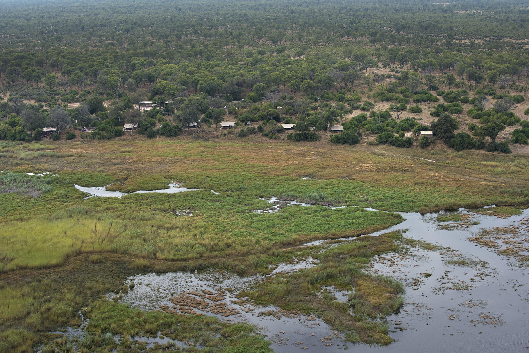 Linyanti Bush Camp_20.jpg