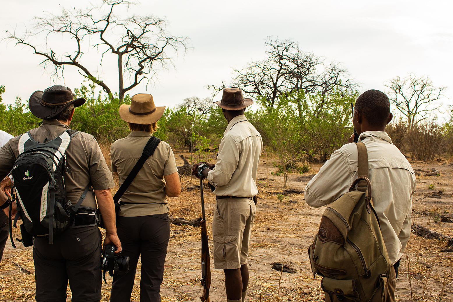 walking-safari-at-linyanti-bush-camp-botswana.jpg