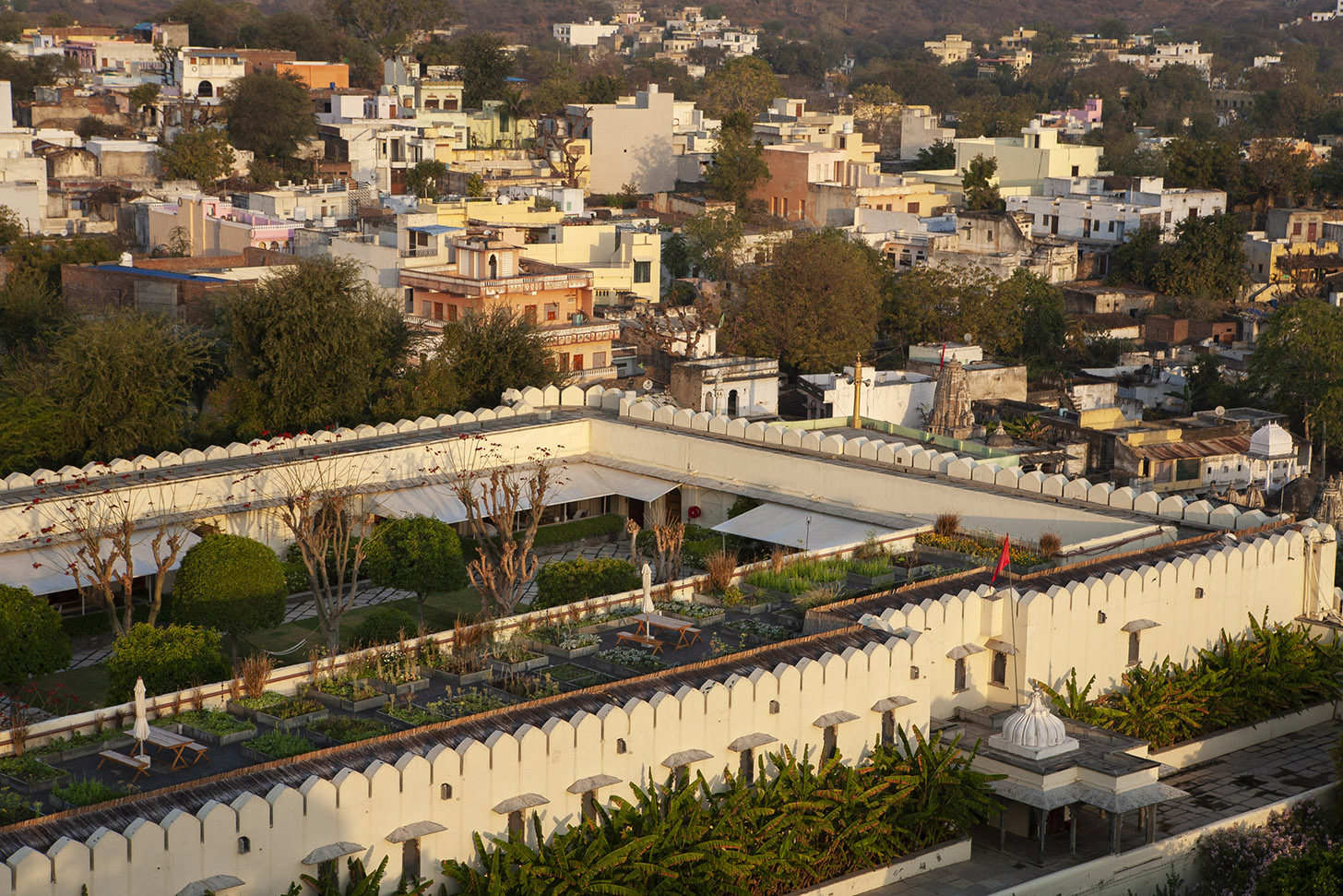 2. Organic Terrace Garden - RAAS Devigarh x Beatrice copy.jpeg