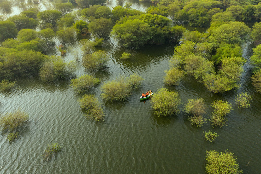 2. Boating - RAAS Chhatrasagar.jpeg