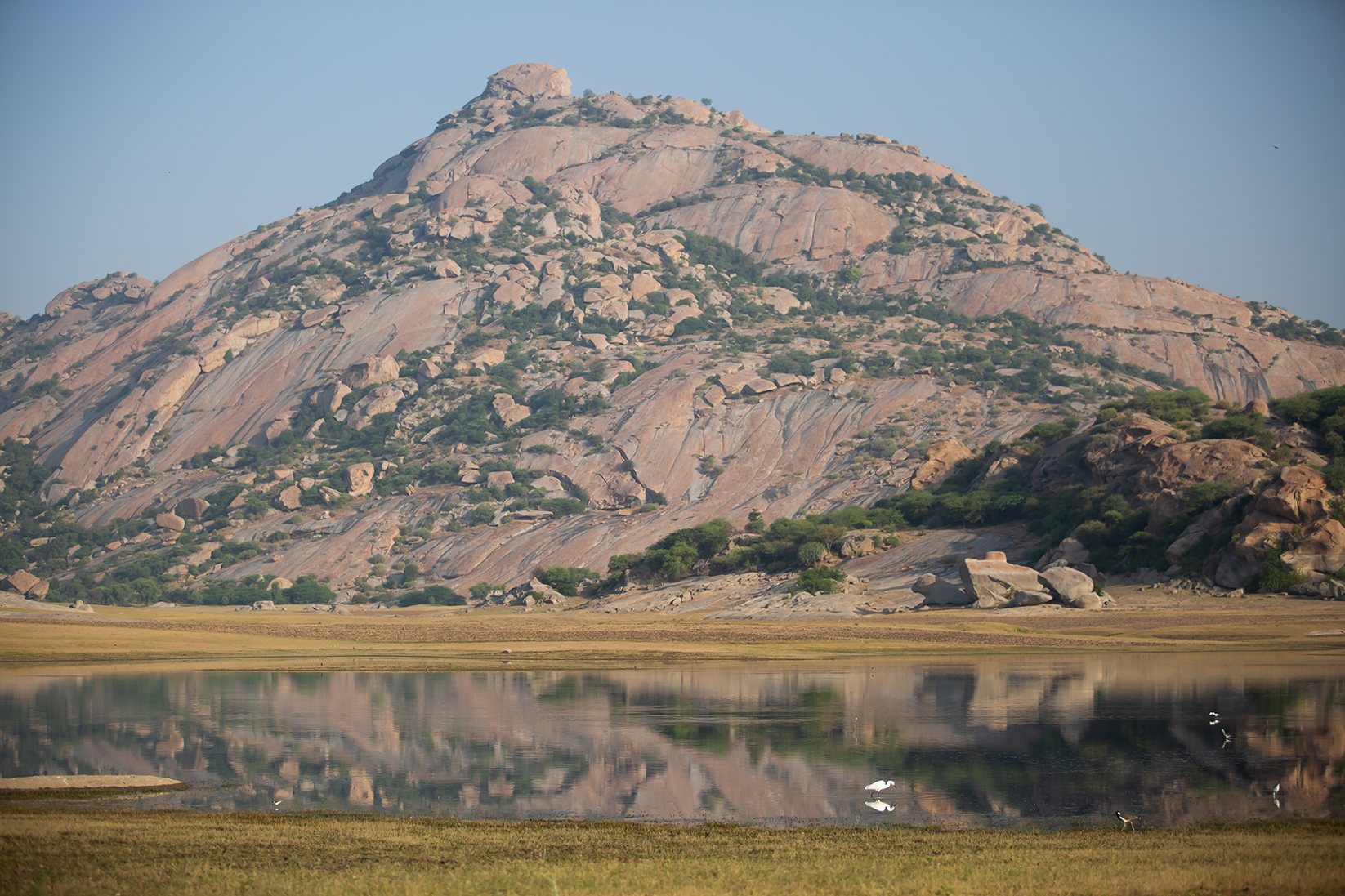 Jawai 2021-213.jpg