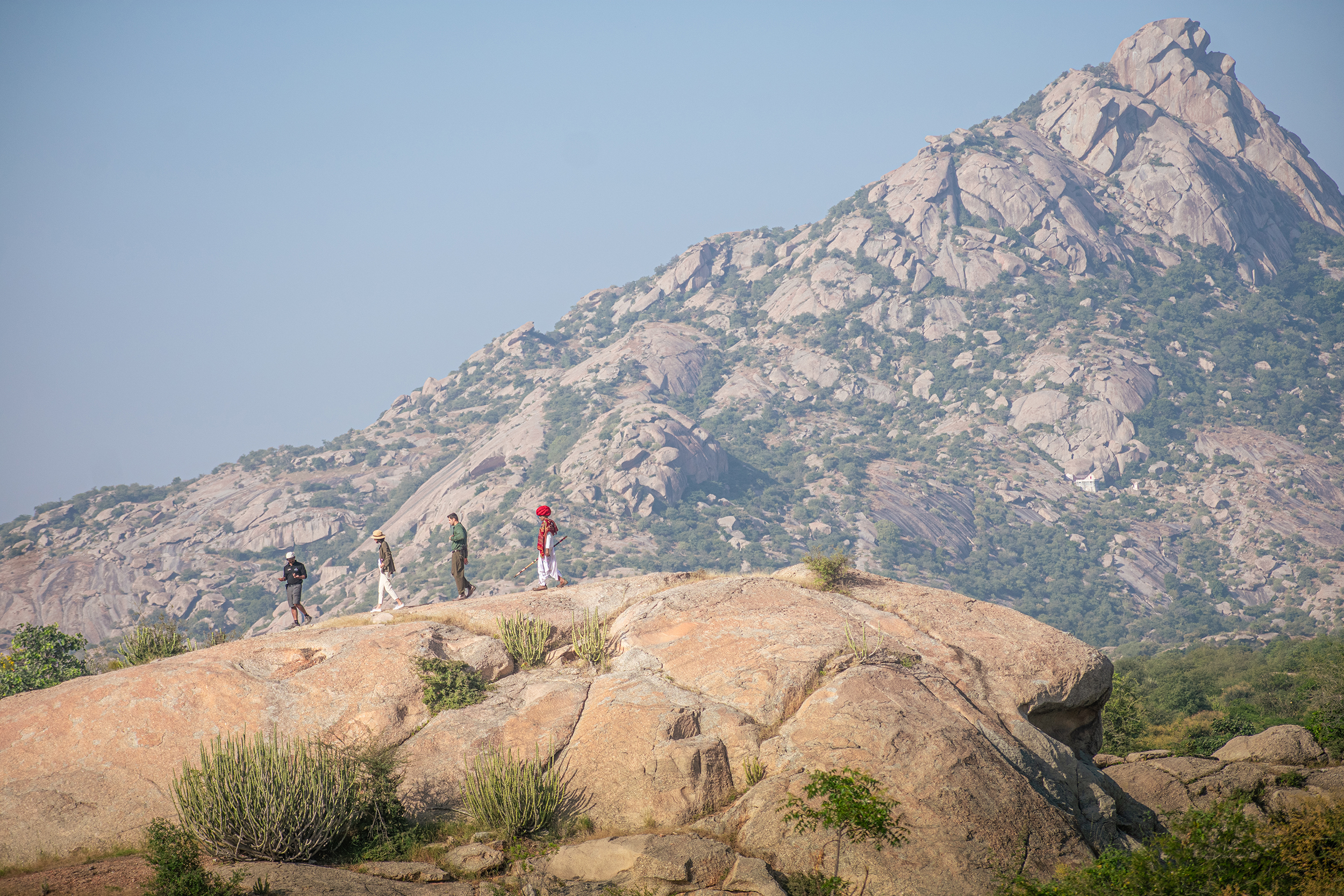 Jawai_0437.jpg