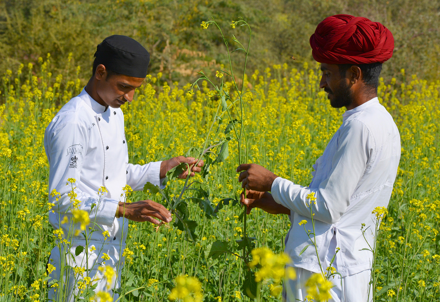 JAWAI_trilok with farmer.jpg